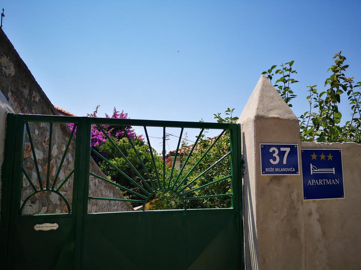 Apartmán Zelina